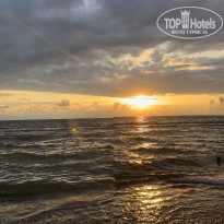 фото из отзыва ID 2729298