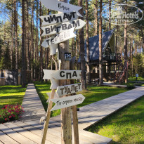 фото из отзыва ID 2729308