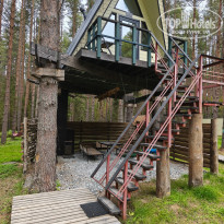 фото из отзыва ID 2729308