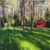 фото из отзыва ID 2729308