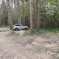 фото из отзыва ID 2729308