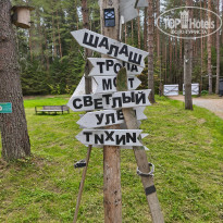 фото из отзыва ID 2729308