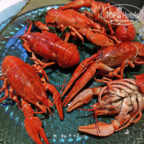 фото из отзыва ID 2729308