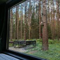 фото из отзыва ID 2729308