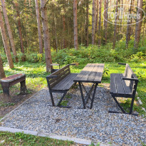 фото из отзыва ID 2729308