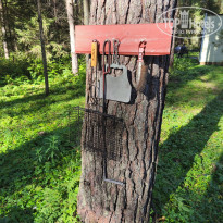 фото из отзыва ID 2729308