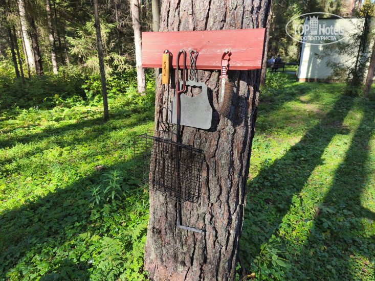 Глэмпинг Тишина