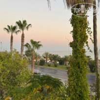 фото из отзыва ID 2729333