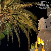 фото из отзыва ID 2729333