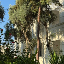 фото из отзыва ID 2729333