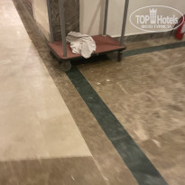 фото из отзыва ID 2728002