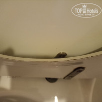 фото из отзыва ID 2729440