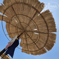 фото из отзыва ID 2729484