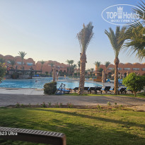 фото из отзыва ID 2729484