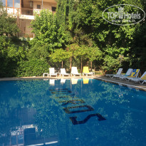 фото из отзыва ID 2729479