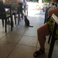 фото из отзыва ID 2729479