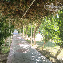 фото из отзыва ID 2729495