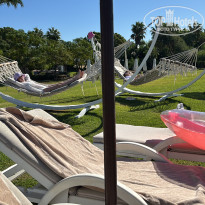 фото из отзыва ID 2729548