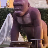 фото из отзыва ID 2729565