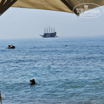 фото из отзыва ID 2729565