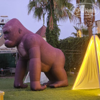 фото из отзыва ID 2729565