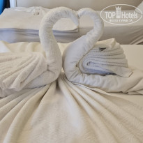 фото из отзыва ID 2729565