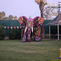 фото из отзыва ID 2729565