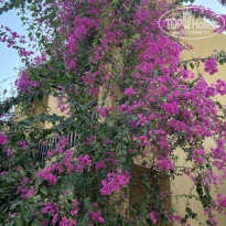 фото из отзыва ID 2729489