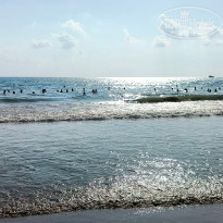 фото из отзыва ID 2729579