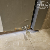 фото из отзыва ID 2729609