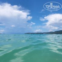 фото из отзыва ID 2729611