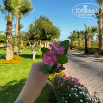 фото из отзыва ID 2729668