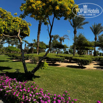 фото из отзыва ID 2729668