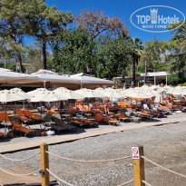 фото из отзыва ID 2729676