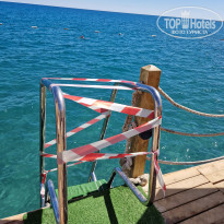 фото из отзыва ID 2729676