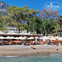 фото из отзыва ID 2729676