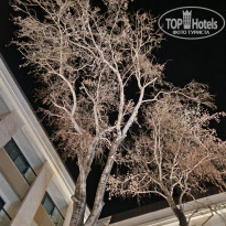 фото из отзыва ID 2729676