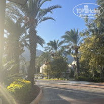 фото из отзыва ID 2729694