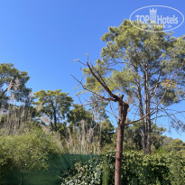 фото из отзыва ID 2729694