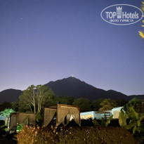 фото из отзыва ID 2729694