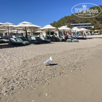 фото из отзыва ID 2729694