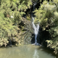 фото из отзыва ID 2729694