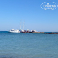 фото из отзыва ID 2729610