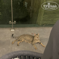 фото из отзыва ID 2729694