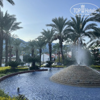 фото из отзыва ID 2729694