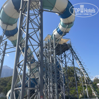 фото из отзыва ID 2729694