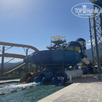 фото из отзыва ID 2729694