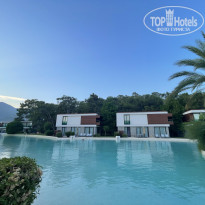 фото из отзыва ID 2729694