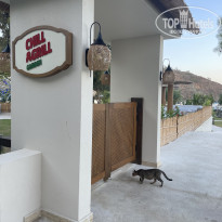 фото из отзыва ID 2729694