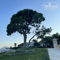 фото из отзыва ID 2729694